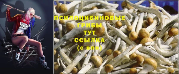 экстази Сатка