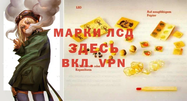 эйфоретик Арсеньев