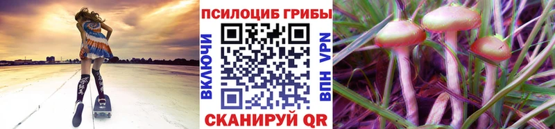 Псилоцибиновые грибы мицелий  Суоярви 